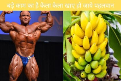 बड़े काम है केला जो भी खाये सेहत बन जाये