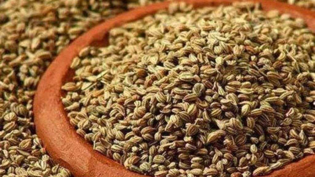 Carom Seeds in Hindi