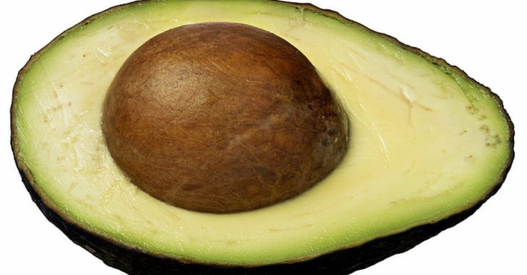 Avocado Fruit Benefits in Hindi 