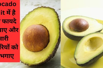 Avocado Fruit Benefits in Hindi