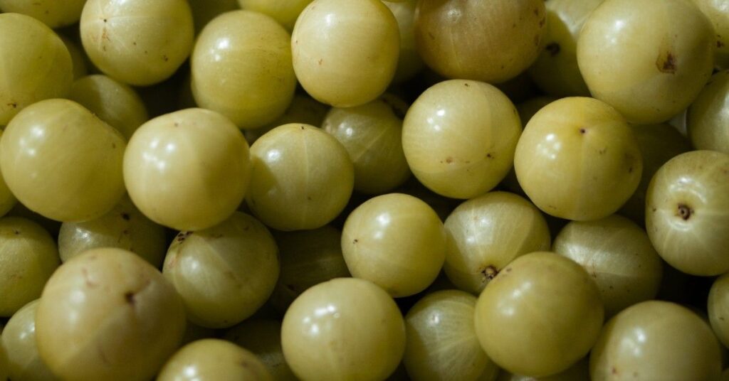 Amla Benefits in Hindi