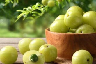 Amla Benefits in Hindi