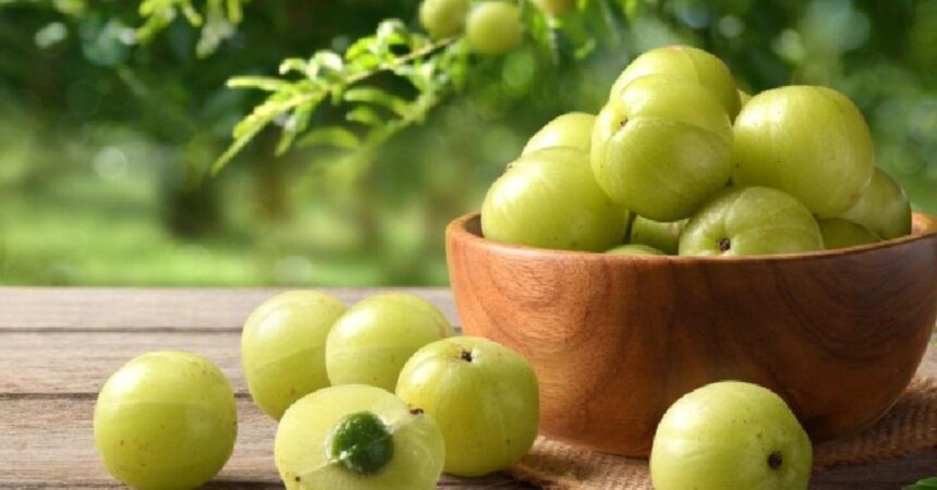 Amla Benefits in Hindi