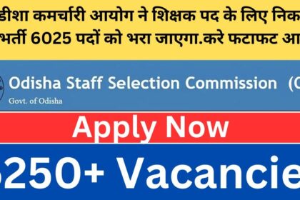 Odisha Teacher Job Vacancy