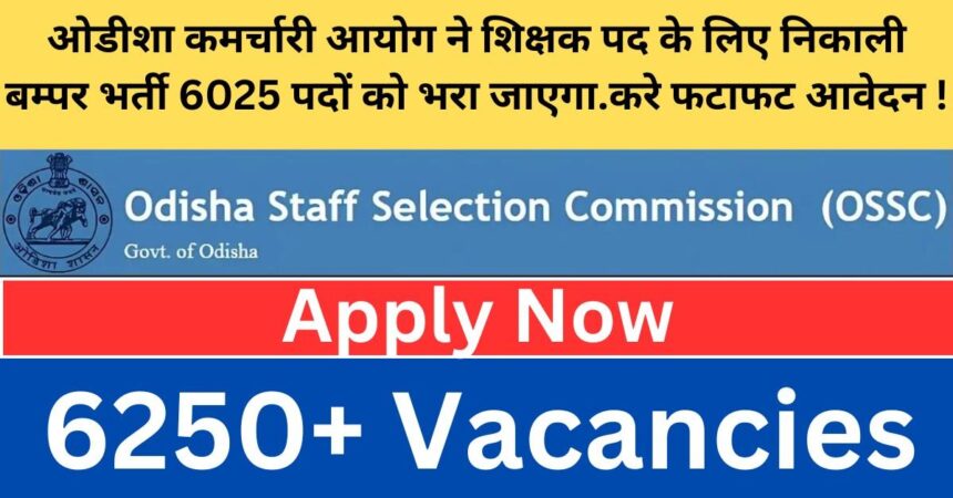 Odisha Teacher Job Vacancy