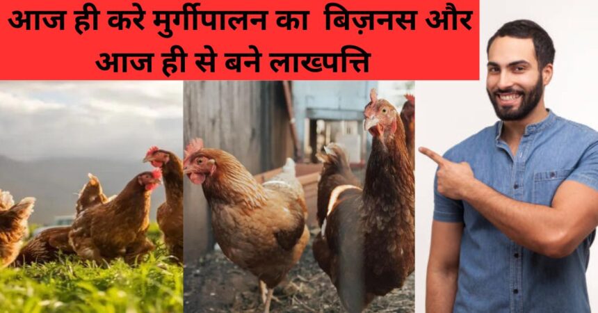 Poultry Farming Business Plan in India