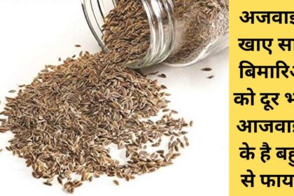 Carom Seeds in Hindi