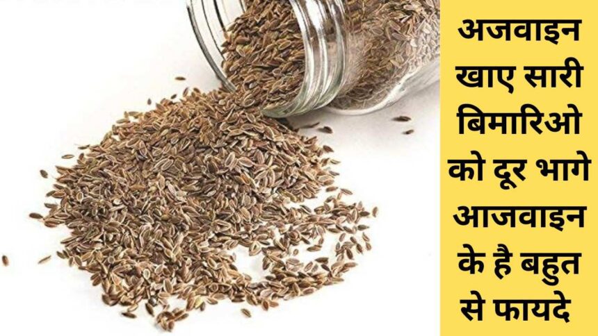 Carom Seeds in Hindi